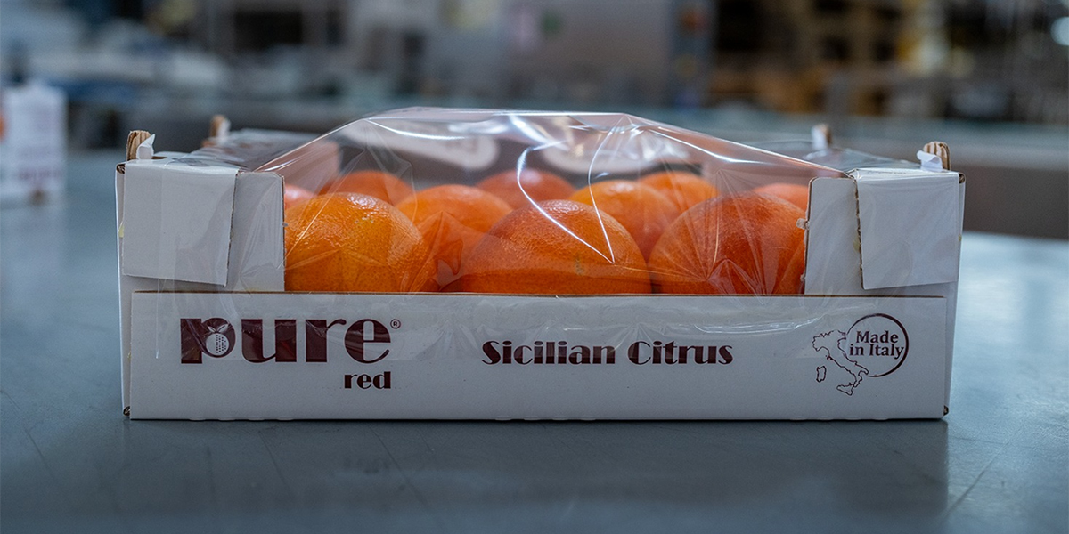 Pure Red: Il brand di OP Esperidio che ridefinisce l’Arancia Rossa